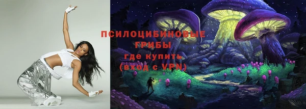 спиды Абаза