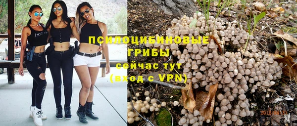 спиды Абаза