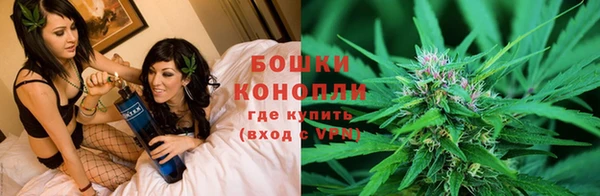 спиды Абаза